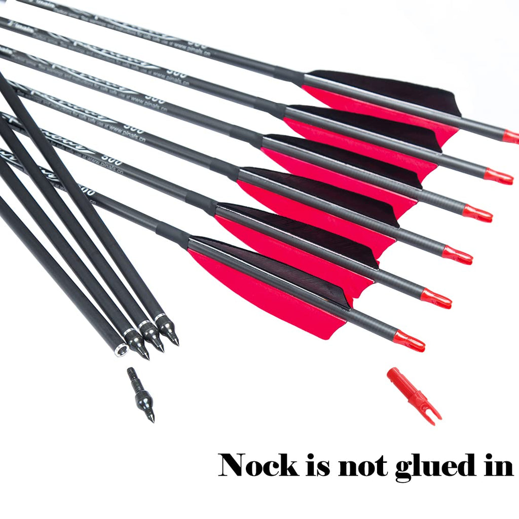 Pinals Archery 300 340 400 500 600 700 800 Spine Carbon Arrows for Compound Recurve Bow Traditional Longbow 30 32 Inch Shafts Hunting Target Feather Arrow 12PCS 700