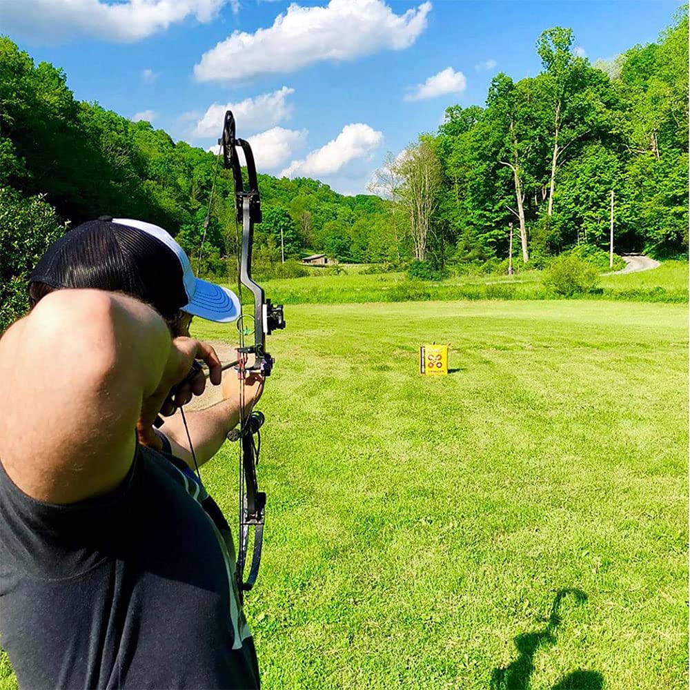 Morrell Yellow Jacket Stinger, Field Point Archery Target with 2 Shooting Sides & 10 Bullseyes - Portable Backyard Hunting Practice Bag with E-Z Tote Carrying Handle & Easy Arrow Removal