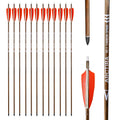 ARCTIRA 12Pcs Archery Traditional Carbon Arrows for Recurve Bow with Feather for Longbow Compound Bow Lightweight Hunting Arrows for Adults Target Practice (Brown Shaft, 500 Spine)