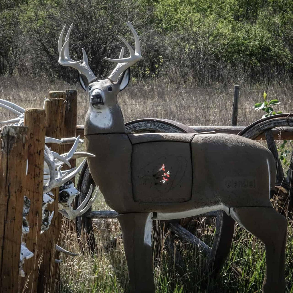 GlenDel Target Buck w/4-Sided Insert