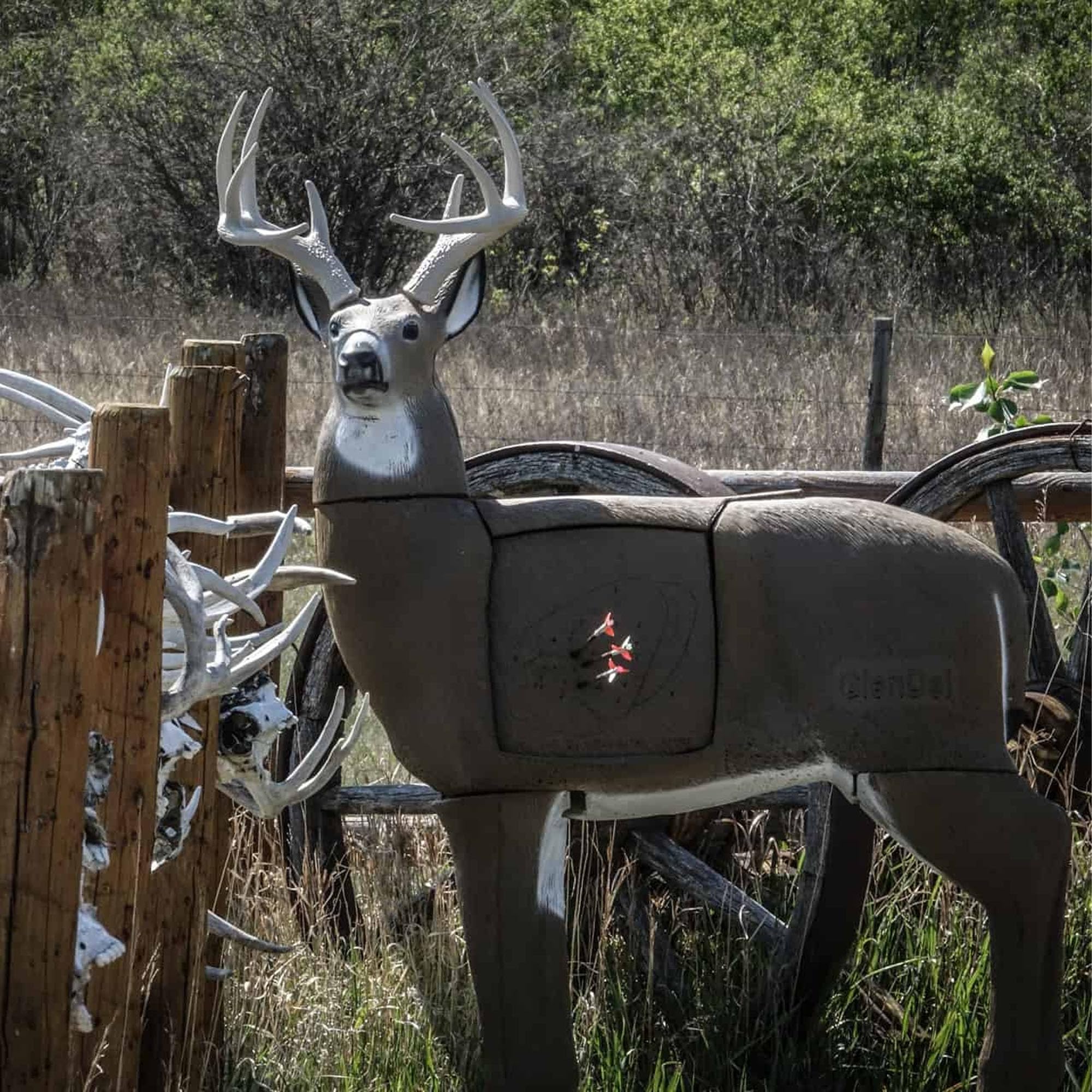 GlenDel Target Buck w/4-Sided Insert