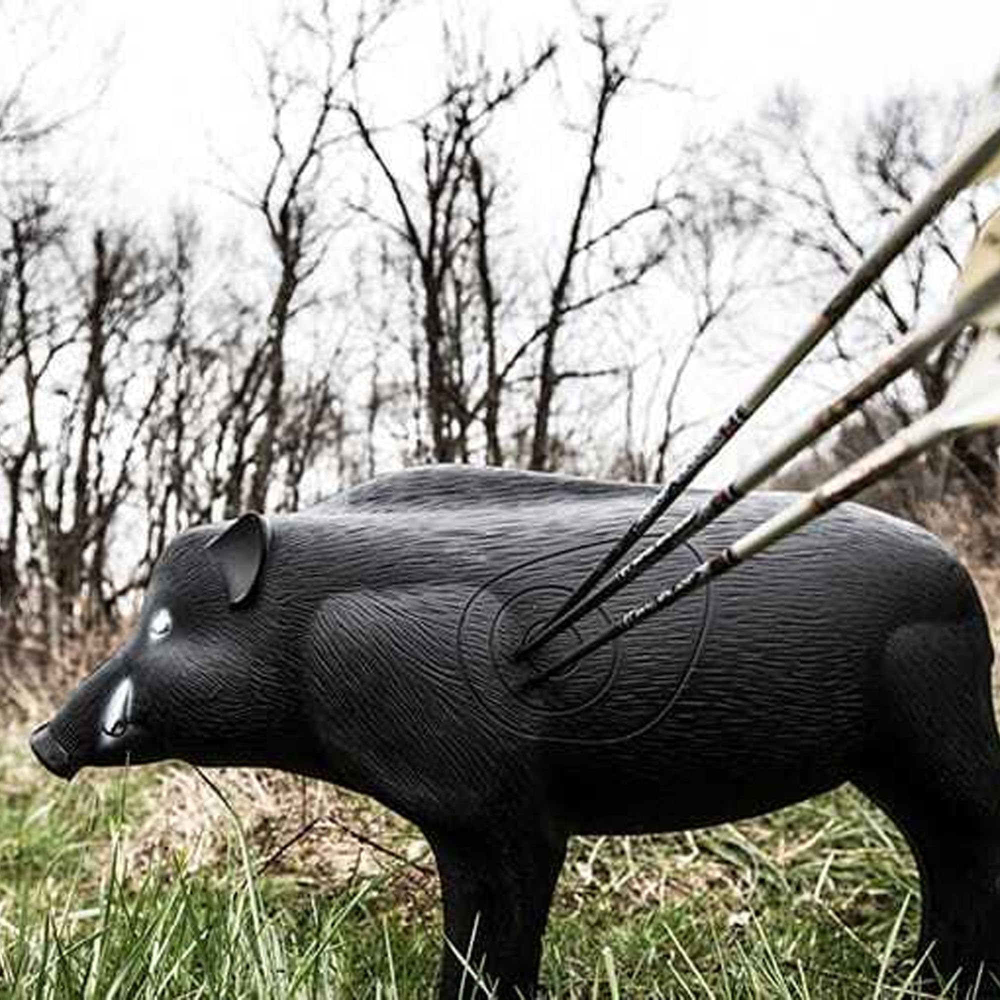 Field Logic-Shooter 3D Archery Hog Target, Black, One Size