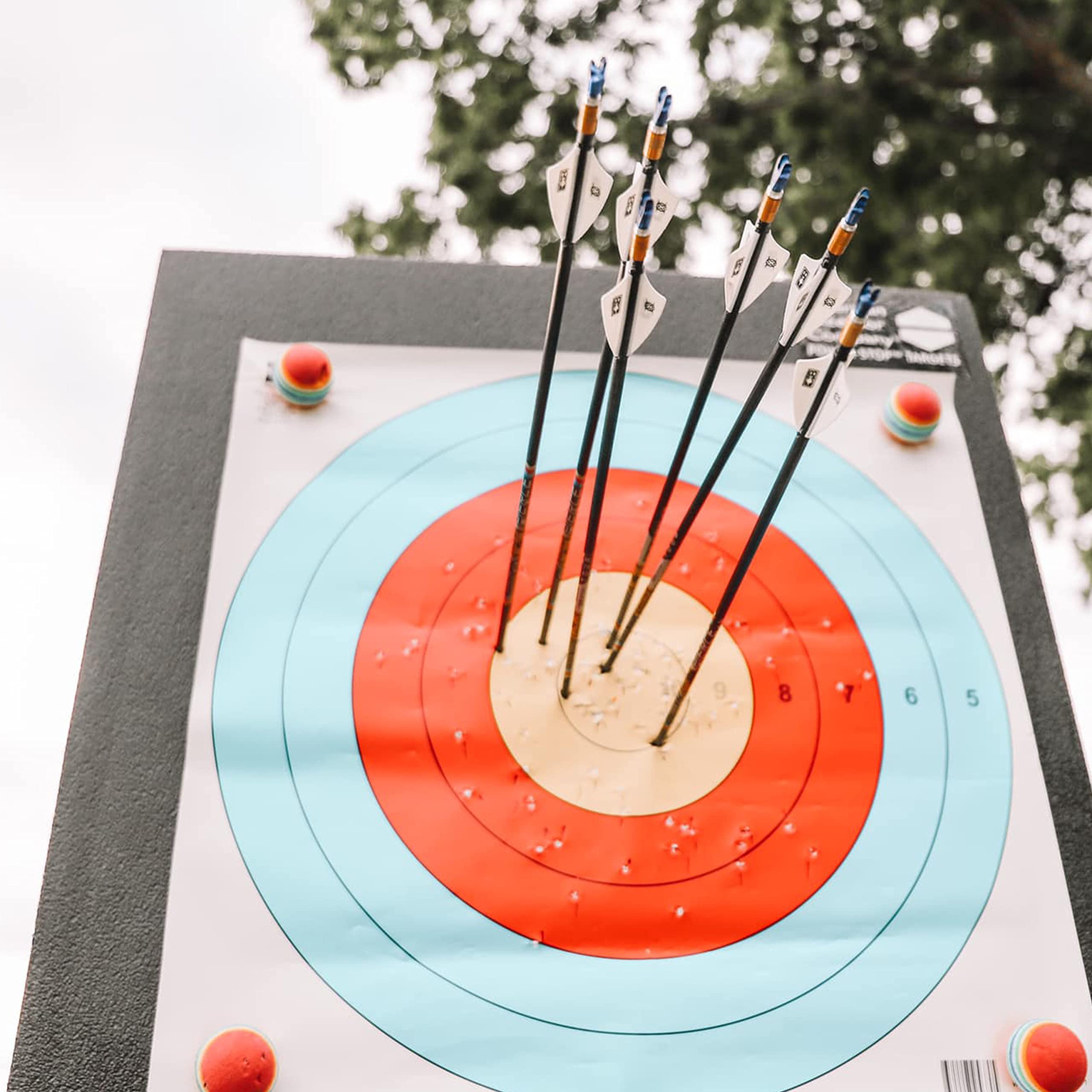 Power-Stop Archery Target - 24" Pro Series - Big Block Foam Target for Broadheads and Field Tips