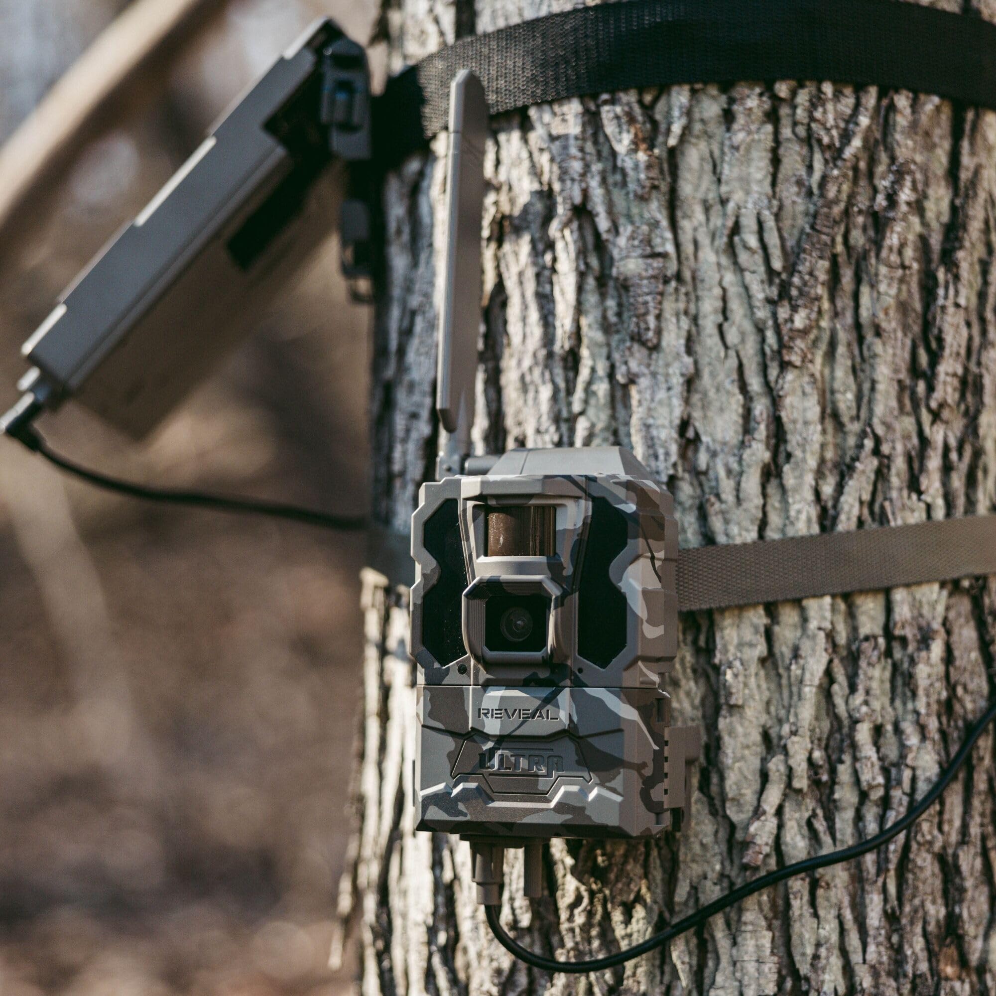 TACTACAM Reveal Ultra Cellular Trail Camera – 4K Photo, 1080P Video, Live Streaming, GPS, Low-Glow/No-Glow Flash, LTE + Cleaning Cloth | 2PK
